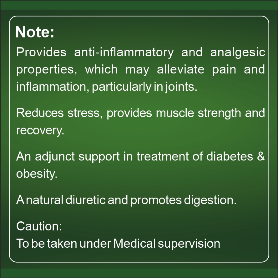 Lumbar Urjah - Image 3