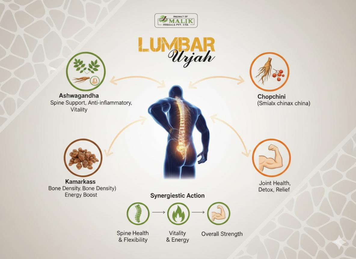 Lumbar Urjah - Image 2