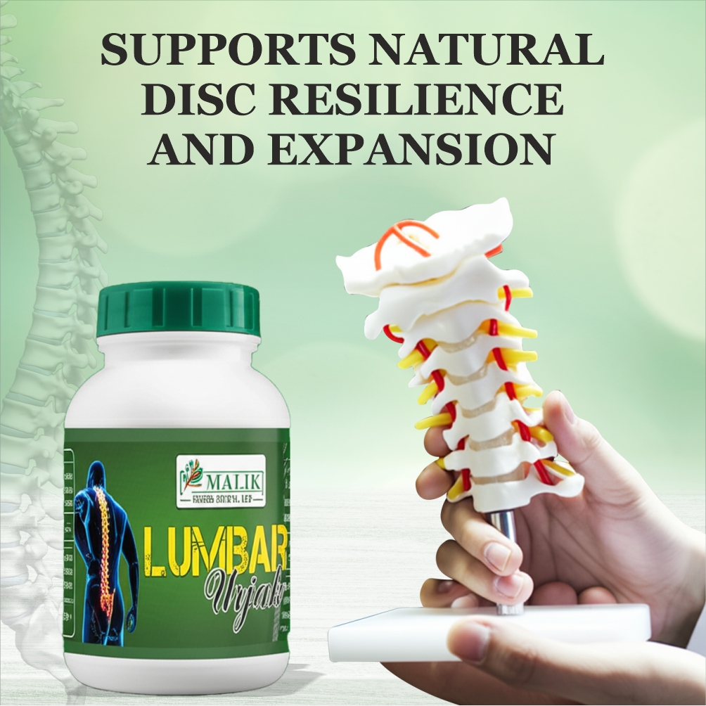 Lumbar Urjah - Image 4